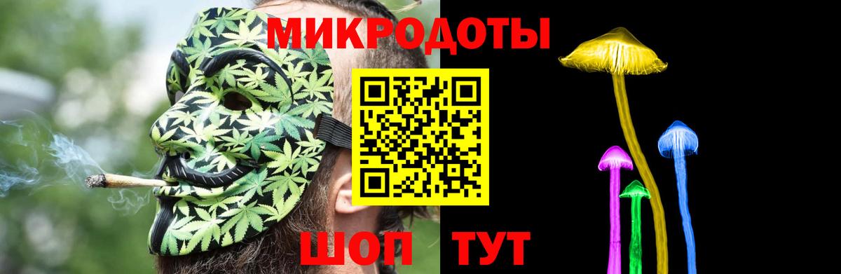 Псков  Псилоцибиновые грибы Cubensis  Вход с VPN 
